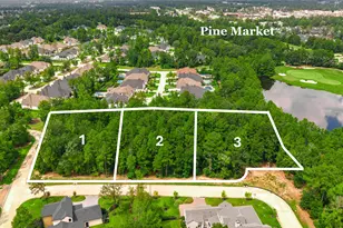 100 Castle Pines Dr, Montgomery, TX 77316 - Photo 1