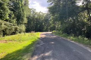 202 Spring Creek Loop, Livingston, TX 77351 - Photo 31