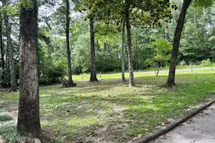 202 Spring Creek Loop, Livingston, TX 77351 - Photo 5