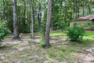 202 Spring Creek Loop, Livingston, TX 77351 - Photo 7