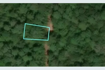 34191 White Feather Circle, Hempstead, TX 77445 - Photo 5