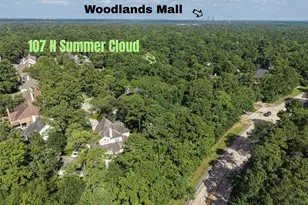 107 N Summer Cloud Dr, The Woodlands, TX 77381 - Photo 41