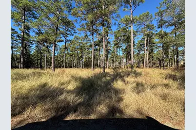 057 Private Road 6028, Brookeland, TX 75931 - Photo 7