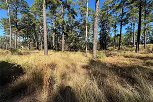 057 Private Road 6028, Brookeland, TX 75931 - Photo 1