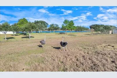 6111 Jacks Alley, Wallis, TX 77485 - Photo 41