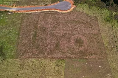 Tbd Lakeside Court Lot 182, Hillister, TX 77624 - Photo 5