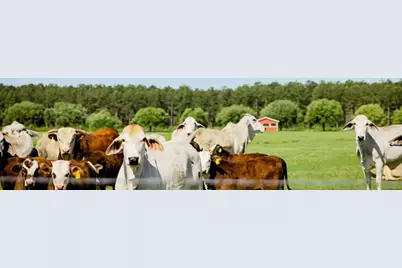 Tbd Lakeside Court Lot 182, Hillister, TX 77624 - Photo 15