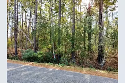 0 Belleau Wood Drive, Houston, TX 77338 - Photo 3