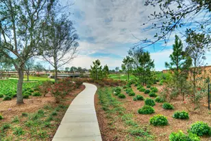 6447 Mahogany Br Trl, Manvel, TX 77578 - Photo 13