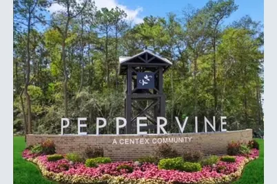 21463 Austell Pond Drive, Porter, TX 77365 - Photo 39