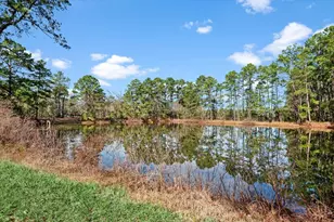 504 Catfish Ln, Conroe, TX 77384 - Photo 39