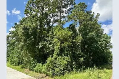 0 Ramblewood, Magnolia, TX 77354 - Photo 5