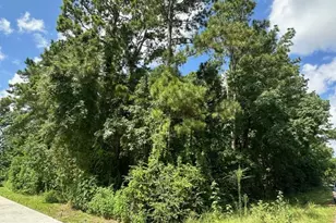 0 Ramblewood, Magnolia, TX 77354 - Photo 5