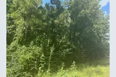 0 Ramblewood, Magnolia, TX 77354 - Photo 3