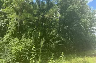 0 Ramblewood, Magnolia, TX 77354 - Photo 3