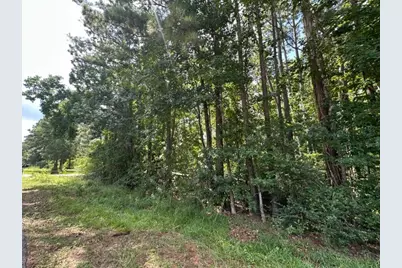 0 Ramblewood, Magnolia, TX 77354 - Photo 7