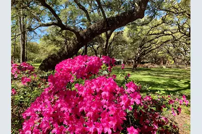1205 Autrey Street #9, Houston, TX 77006 - Photo 23