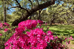 1205 Autrey St, Houston, TX 77006 - Photo 23