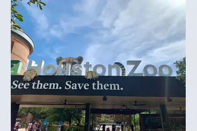 1205 Autrey Street #9, Houston, TX 77006 - Photo 31