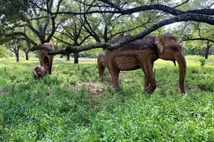 1205 Autrey St, Houston, TX 77006 - Photo 27