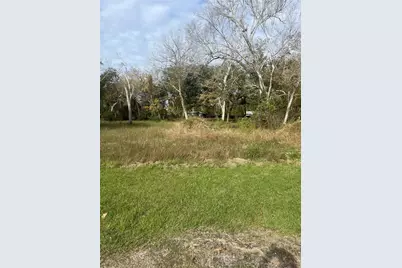 0 Highway 6, Hitchcock, TX 77563 - Photo 1