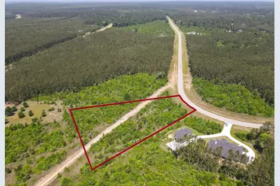 16089 Forest Mill Road, Willis, TX 77378 - Photo 11