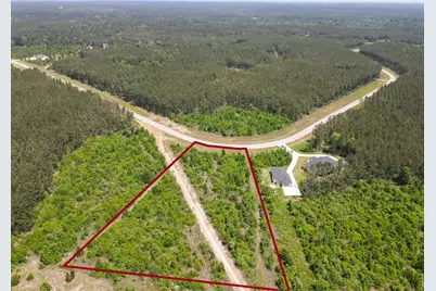 16089 Forest Mill Road, Willis, TX 77378 - Photo 9