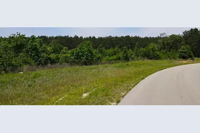 16089 Forest Mill Road, Willis, TX 77378 - Photo 5