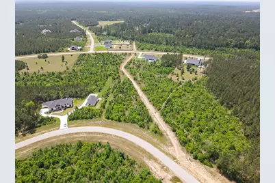 16089 Forest Mill Road, Willis, TX 77378 - Photo 3