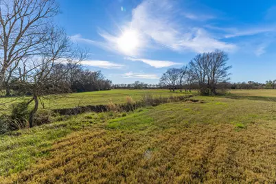 1230 Southfield Trail, Lovelady, TX 75851 - Photo 7