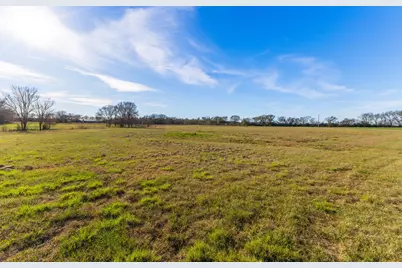 1230 Southfield Trail, Lovelady, TX 75851 - Photo 5