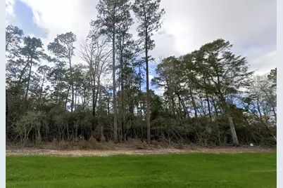 15590 Woodlife Road, Willis, TX 77378 - Photo 7