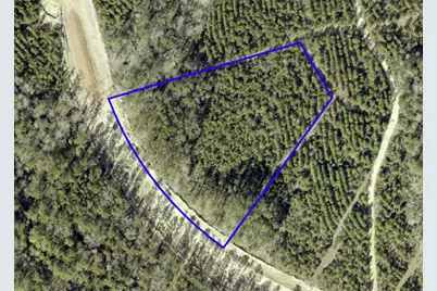 15590 Woodlife Road, Willis, TX 77378 - Photo 3