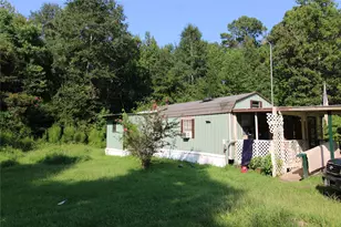 300 Yancey Big Drink, Shepherd, TX 77371 - Photo 5