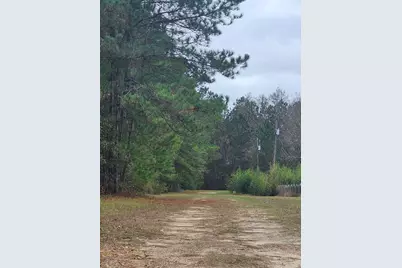 263 Wishing Trail, Livingston, TX 77351 - Photo 15