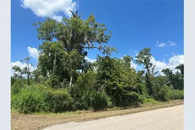 1665 County Road 310, Brazoria, TX 77422 - Photo 7