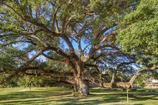 8719 Scrub Oak Vw Dr, Tomball, TX 77375 - Photo 3