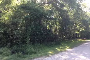 000 Brook Tree, Livingston, TX 77351 - Photo 1