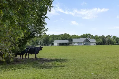 3738 County Road 222, Anderson, TX 77830 - Photo 37