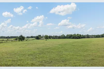 3738 County Road 222, Anderson, TX 77830 - Photo 39