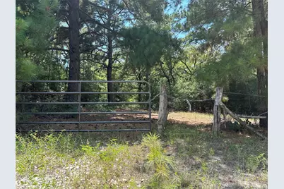 Tbd Pr 4361, Lexington, TX 78947 - Photo 3