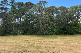 12147 Mustang Ave, Willis, TX 77378 - Photo 1