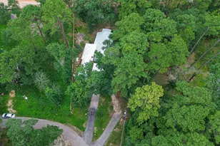 6170 Beech Dr, Montgomery, TX 77316 - Photo 43