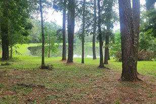 6170 Beech Dr, Montgomery, TX 77316 - Photo 45