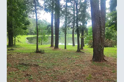 6170 Beech Drive, Montgomery, TX 77316 - Photo 33