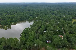 6170 Beech Dr, Montgomery, TX 77316 - Photo 39