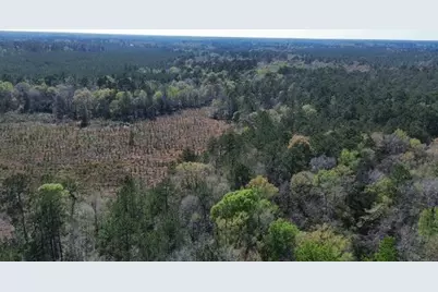 16332 Highway 96 S, Kirbyville, TX 75956 - Photo 7