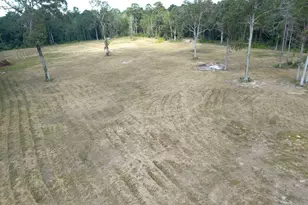 12075 Coon Hollow Rd, Conroe, TX 77032 - Photo 9