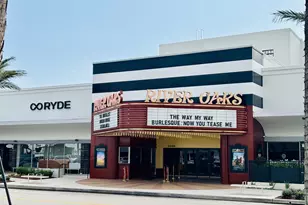 1616 Hazard St, Houston, TX 77019 - Photo 23