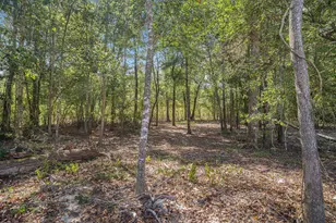 4508 Road 66112, Dayton, TX 77535 - Photo 31